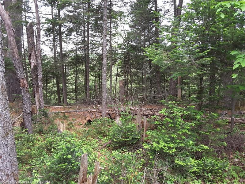 69 Herring Tract RD, Willimantic, ME 04443