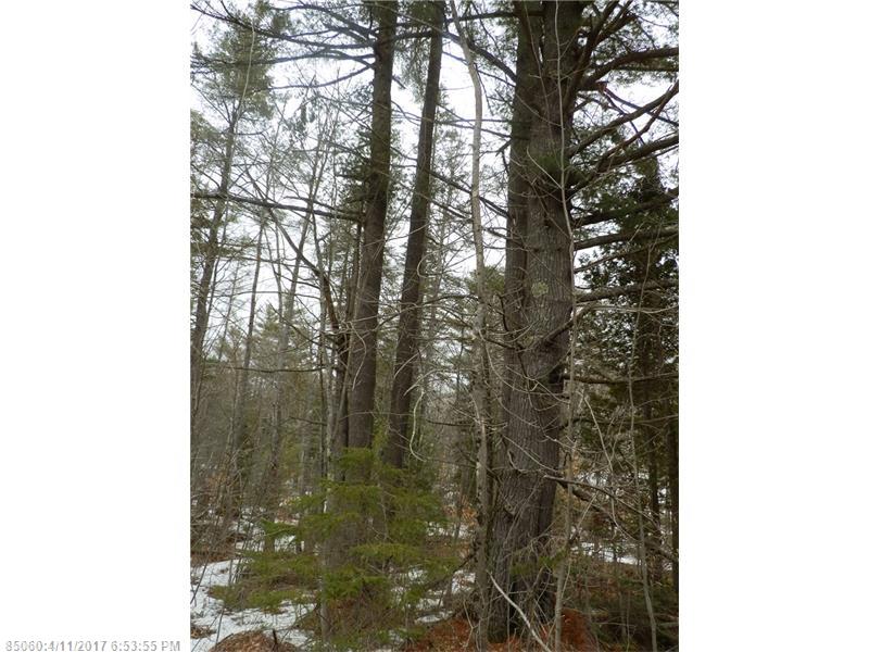 0 Chapman RD, Newburgh, ME 04444