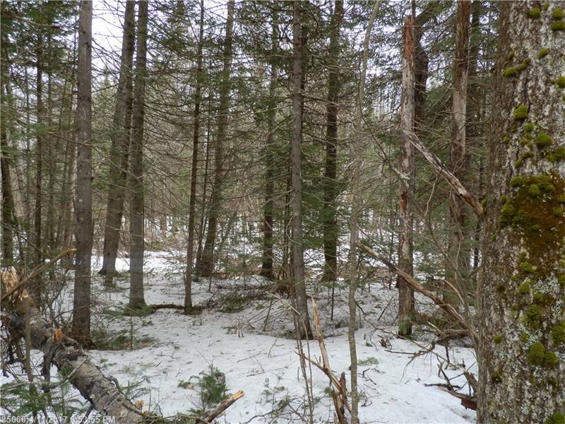 0 Chapman RD, Newburgh, ME 04444