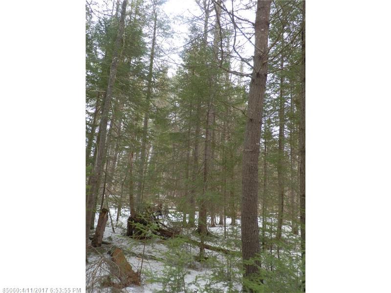 0 Chapman RD, Newburgh, ME 04444