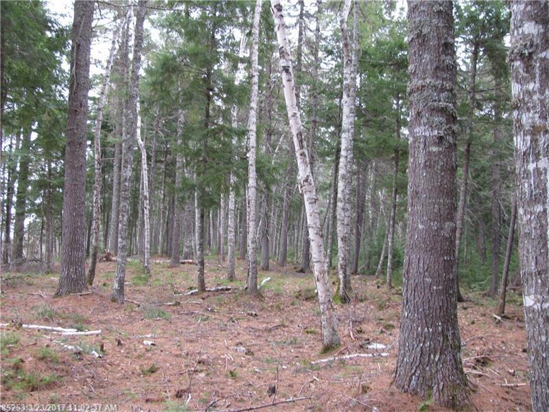 184 Boyce Cove RD, Lakeville, ME 04487