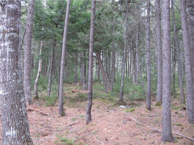 184 Boyce Cove RD, Lakeville, ME 04487
