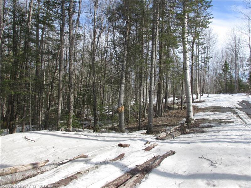 0 East Newport RD, Stetson, ME 04488