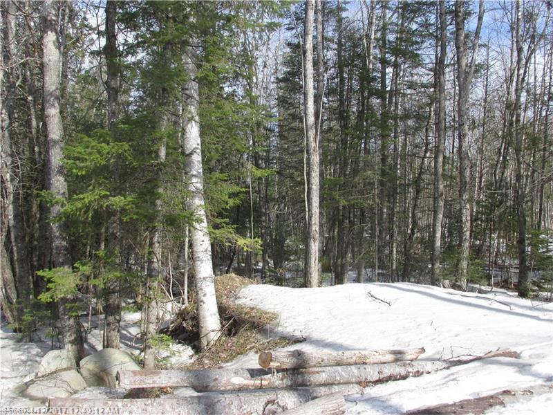 0 East Newport RD, Stetson, ME 04488