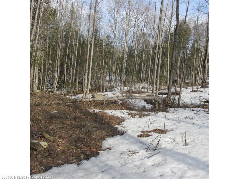 0 East Newport RD, Stetson, ME 04488