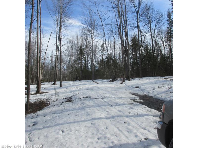 0 East Newport RD, Stetson, ME 04488