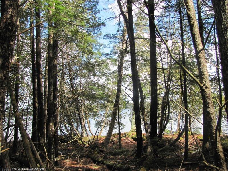 0 Maple Shore LN, Stetson, ME 04488