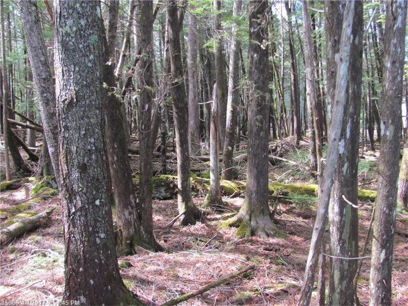 0 Maple Shore LN, Stetson, ME 04488