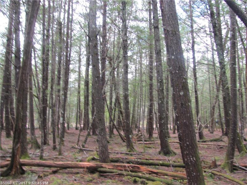 0 Maple Shore LN, Stetson, ME 04488