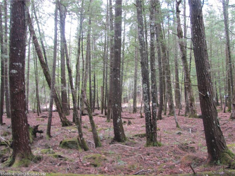 0 Maple Shore LN, Stetson, ME 04488