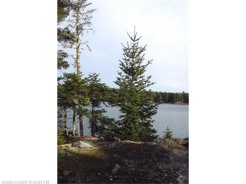 TBD Woodcock LN, Lamoine, ME 04605