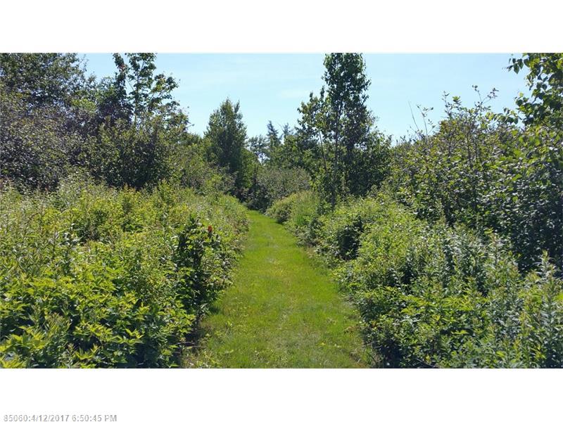 Lot 17 Private RD, Addison, ME 04606