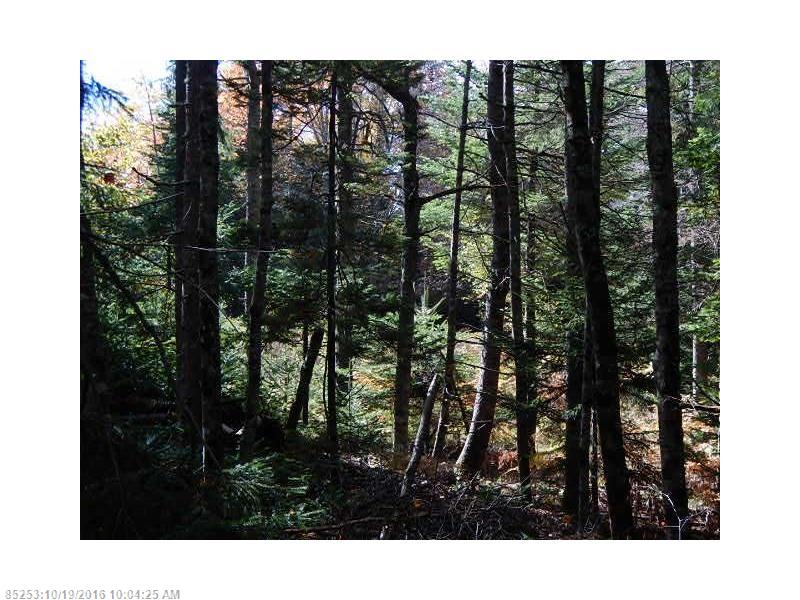 10 & 11 Paul Bunyan, Gouldsboro, ME 04607