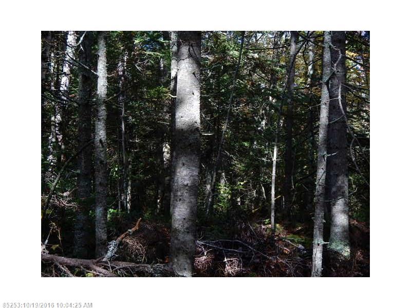 10 & 11 Paul Bunyan, Gouldsboro, ME 04607