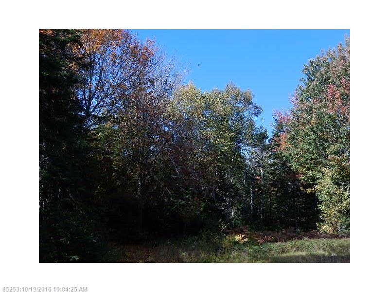 10 & 11 Paul Bunyan, Gouldsboro, ME 04607