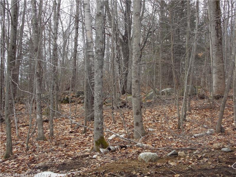 0 Mountain Road, Blue Hill, ME 04614