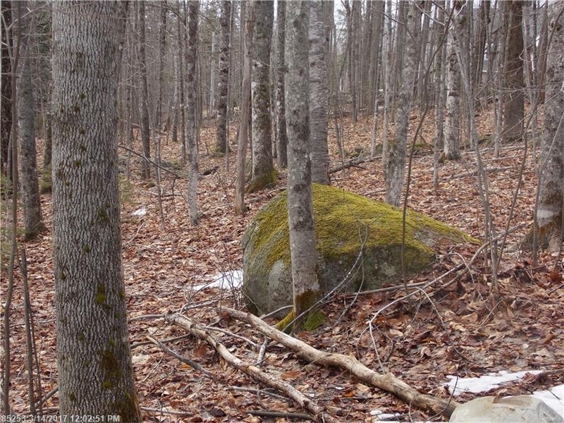 0 Mountain Road, Blue Hill, ME 04614