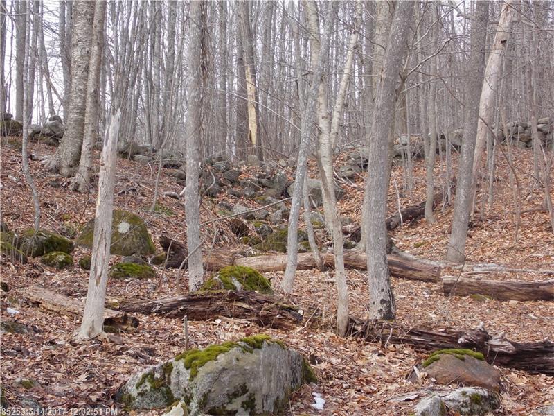 0 Mountain Road, Blue Hill, ME 04614