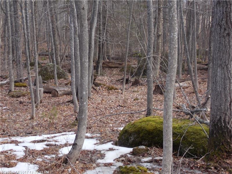 0 Mountain Road, Blue Hill, ME 04614