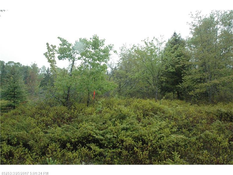 00 A Route 175 RD, Brooklin, ME 04616