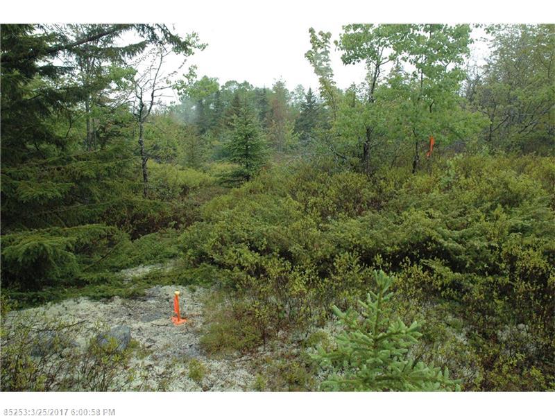 00 B Route 175 RD, Brooklin, ME 04616
