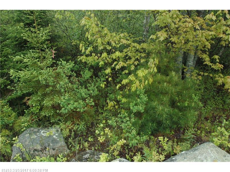 00 B Route 175 RD, Brooklin, ME 04616