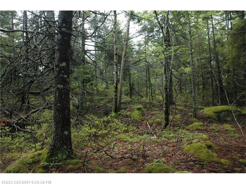 00 B Route 175 RD, Brooklin, ME 04616