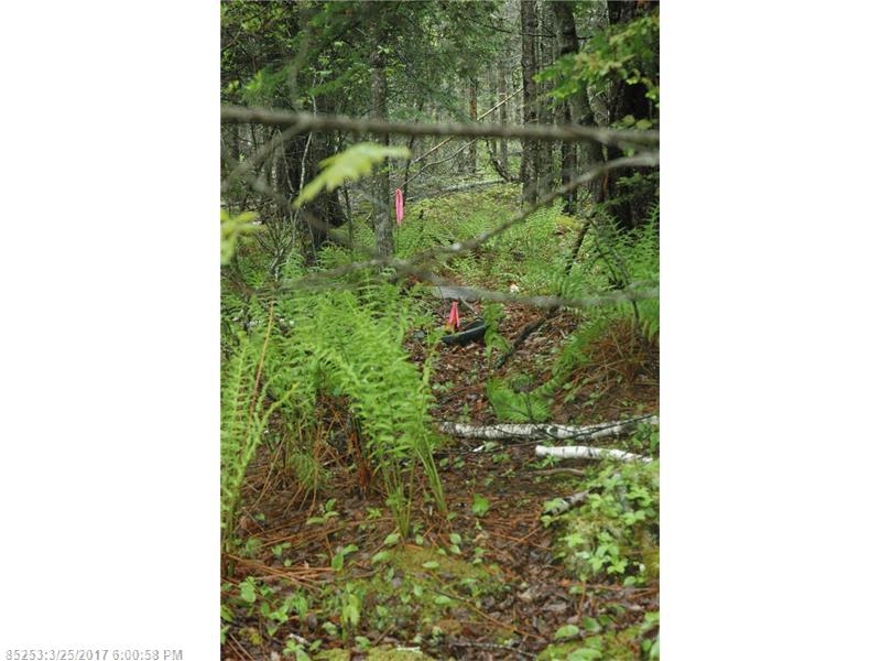 00 B Route 175 RD, Brooklin, ME 04616