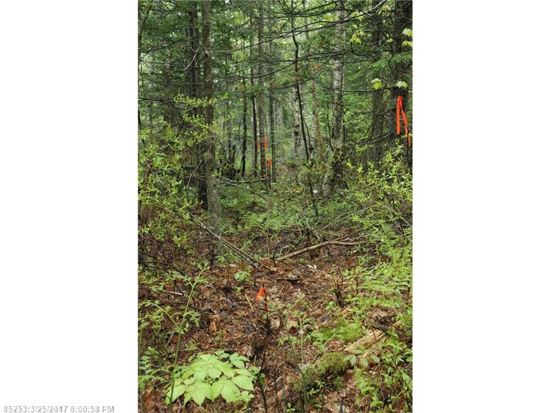 00 B Route 175 RD, Brooklin, ME 04616