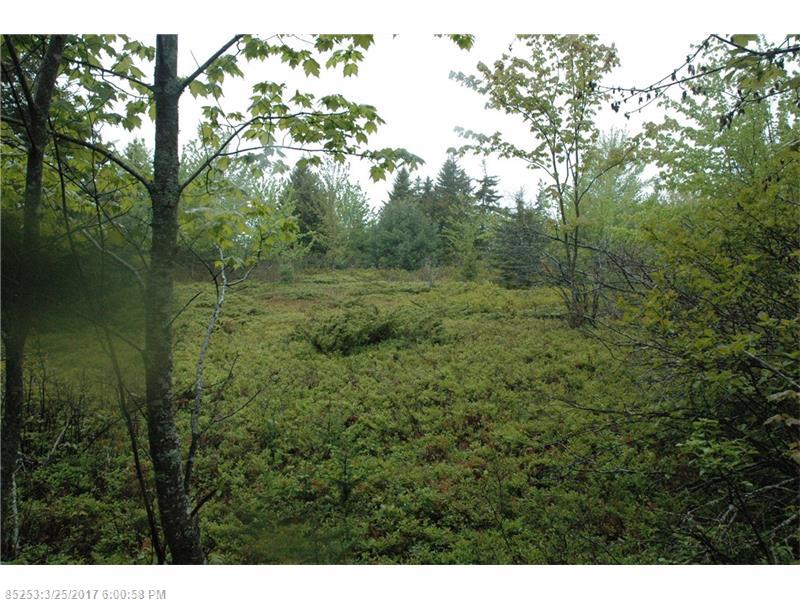 00 B Route 175 RD, Brooklin, ME 04616