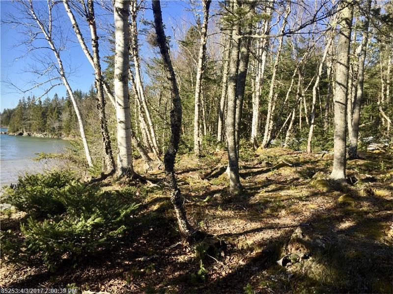 Lot 48A Yoho Head RD, Machiasport, ME 04655