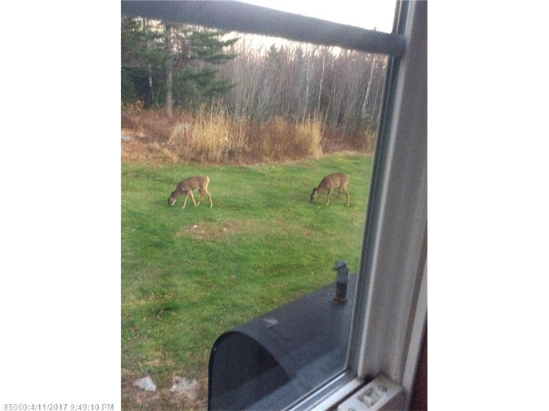566 Rogers Point RD, Steuben, ME 04680