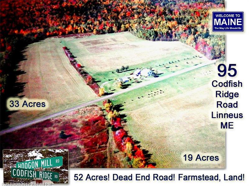 95 Codfish Ridge RD, Linneus, ME 04730
