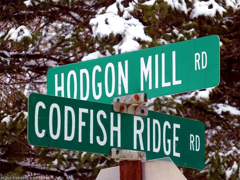 95 Codfish Ridge RD, Linneus, ME 04730