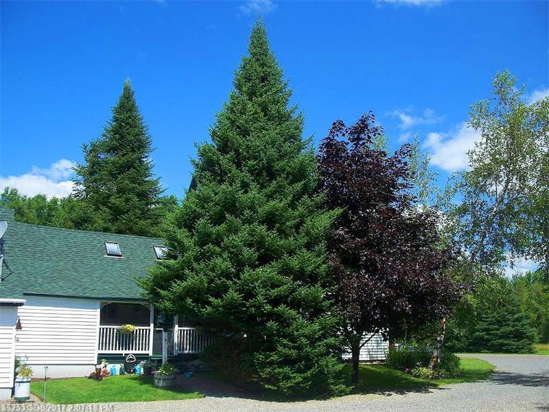 95 Codfish Ridge RD, Linneus, ME 04730