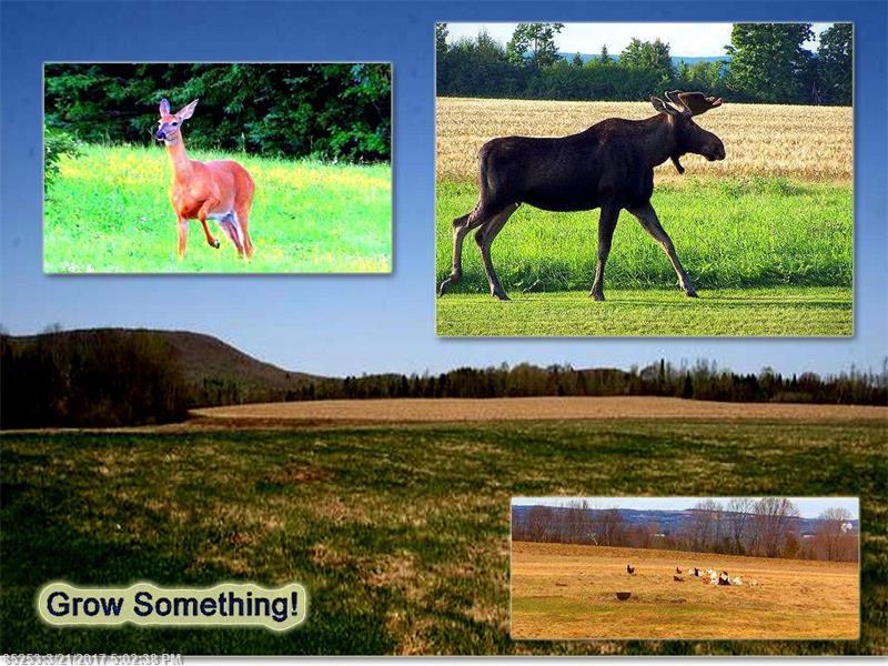 351 Ruth RD, Linneus, ME 04730
