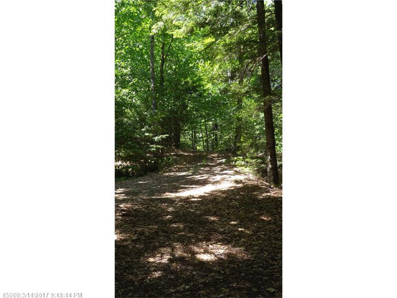 Lot #43 Sandy Pond LN, Freedom, ME 04941