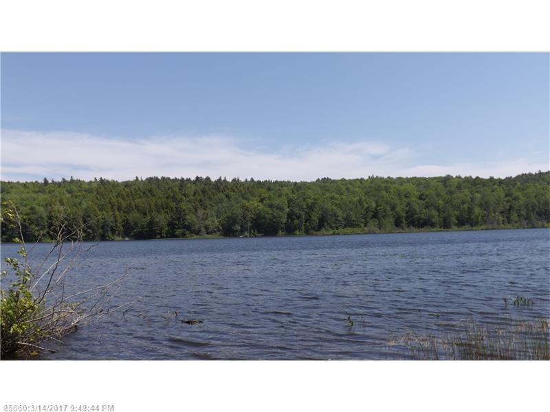 Lot #43 Sandy Pond LN, Freedom, ME 04941
