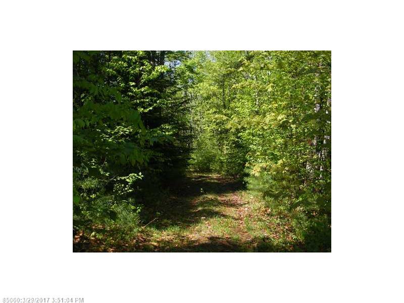 Map 2 Lot 30 Off Morrill Pond RD, Hartland, ME 04943