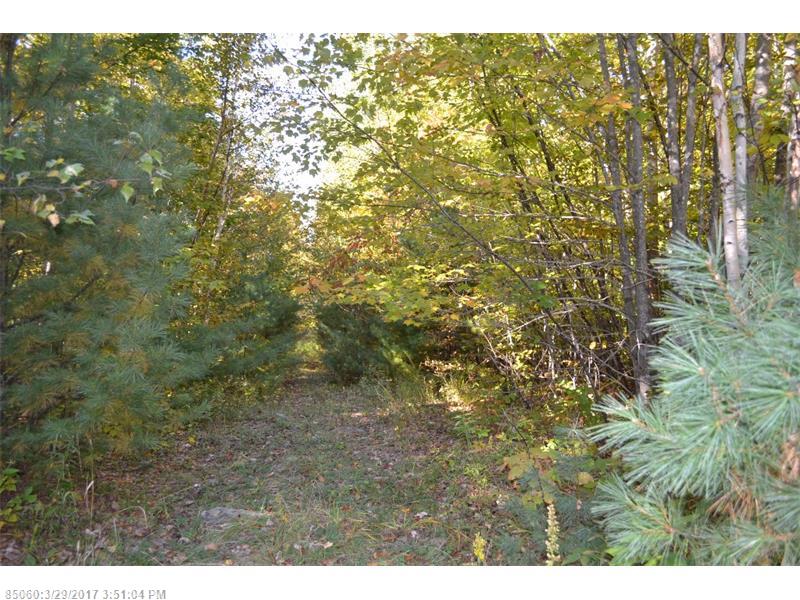 Map 2 Lot 30 Off Morrill Pond RD, Hartland, ME 04943