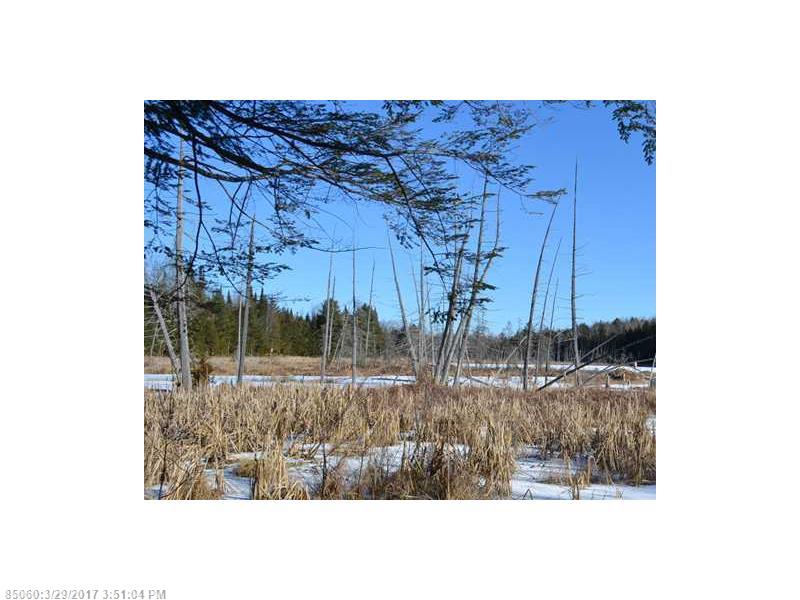 Map 2 Lot 30 Off Morrill Pond RD, Hartland, ME 04943