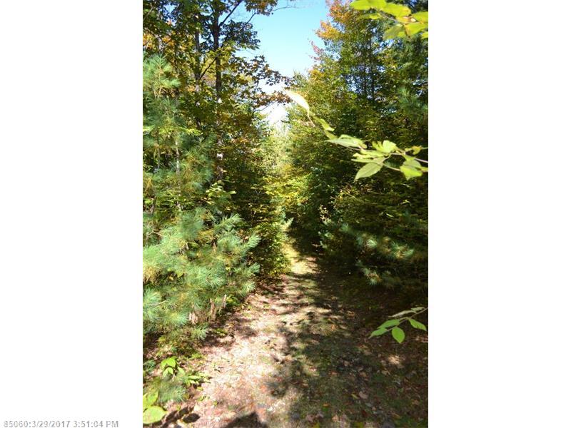 Map 2 Lot 30 Off Morrill Pond RD, Hartland, ME 04943