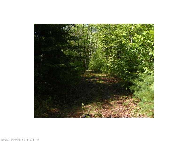 Map 2 Lot 30 Off Morrill Pond RD, Hartland, ME 04943