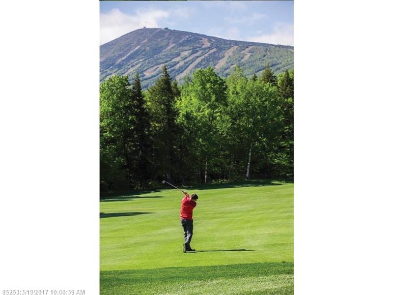 6001 Bunnys LN, Carrabassett Valley, ME 04947