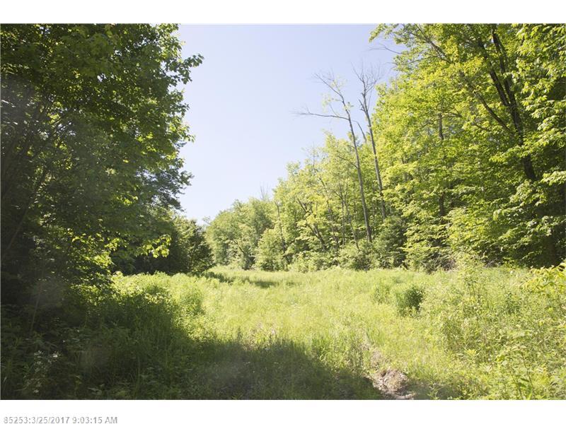 TBD EAST DIXMONT RD, Monroe, ME 04951