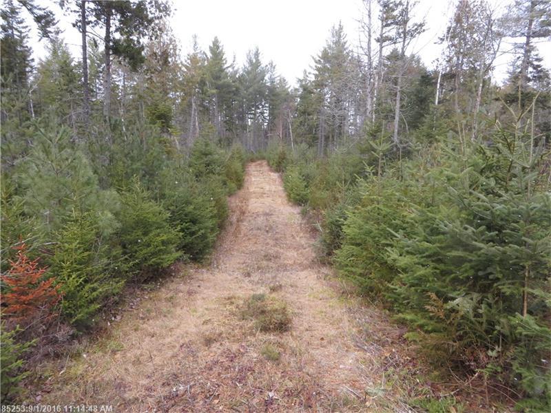 33-2 &amp; 3 Shelton Traiil, Rangeley Plt, ME 04964