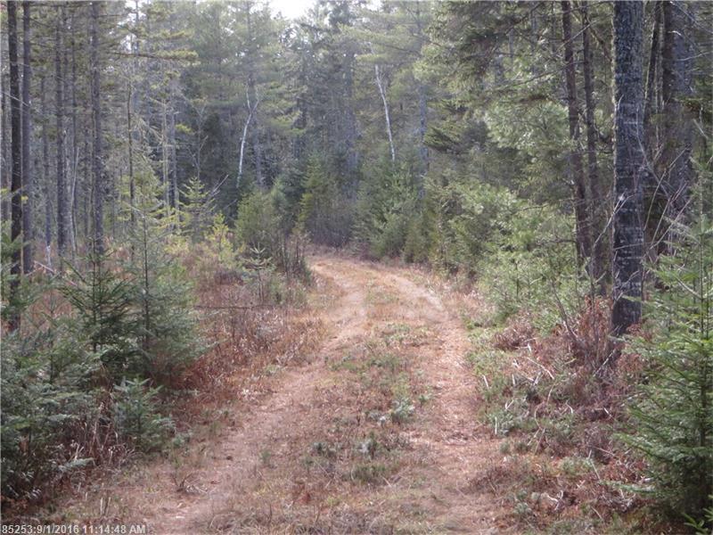 33-2 & 3 Shelton Traiil, Rangeley Plt, ME 04964