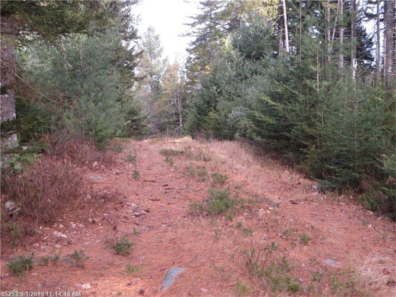 33-2 & 3 Shelton Traiil, Rangeley Plt, ME 04964
