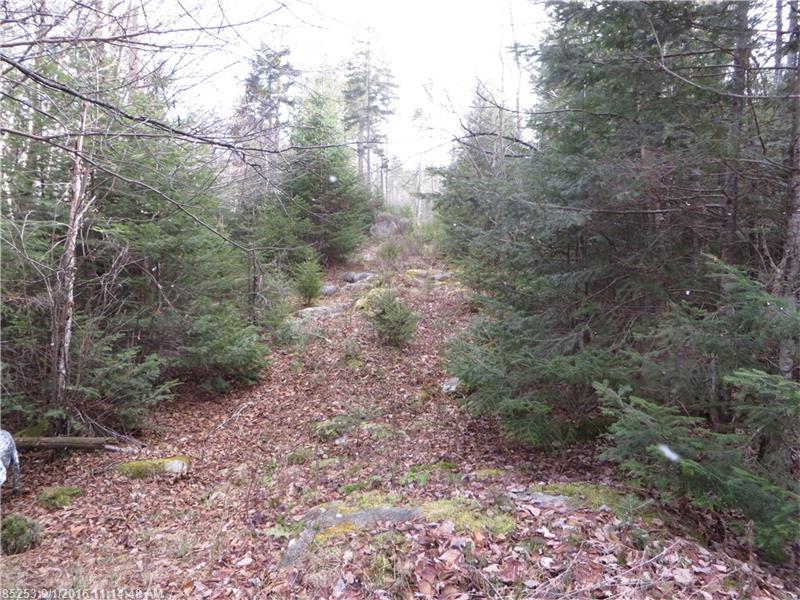 33-2 & 3 Shelton Traiil, Rangeley Plt, ME 04964