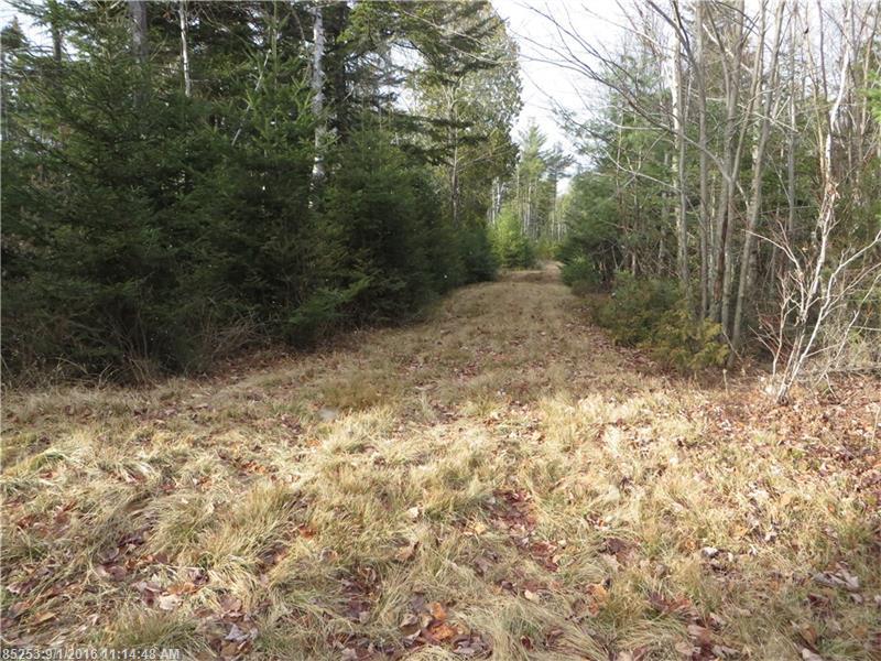 33-2 & 3 Shelton Traiil, Rangeley Plt, ME 04964
